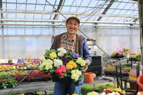 生産者一覧