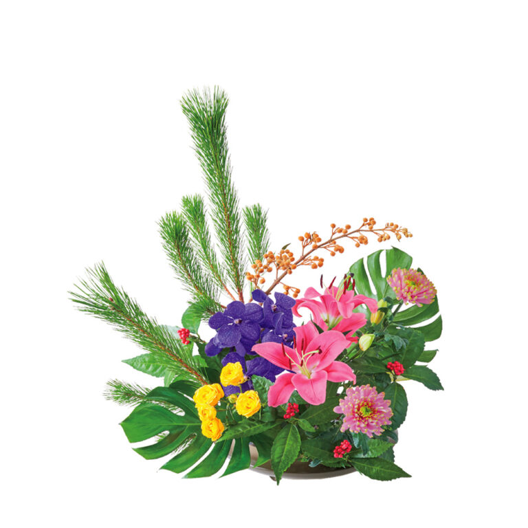2024年 新年を飾る菊