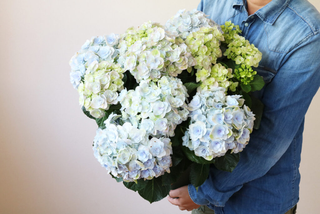 母の日～特別なお花を見つけよう～