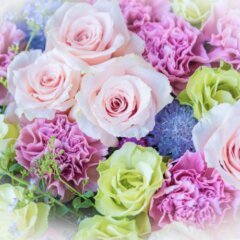 花の定期便価格改定のお知らせ