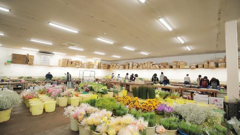 新鮮なお花を届けるための温度管理