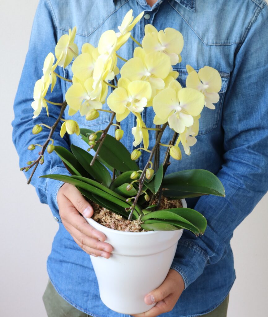 母の日～特別なお花を見つけよう～