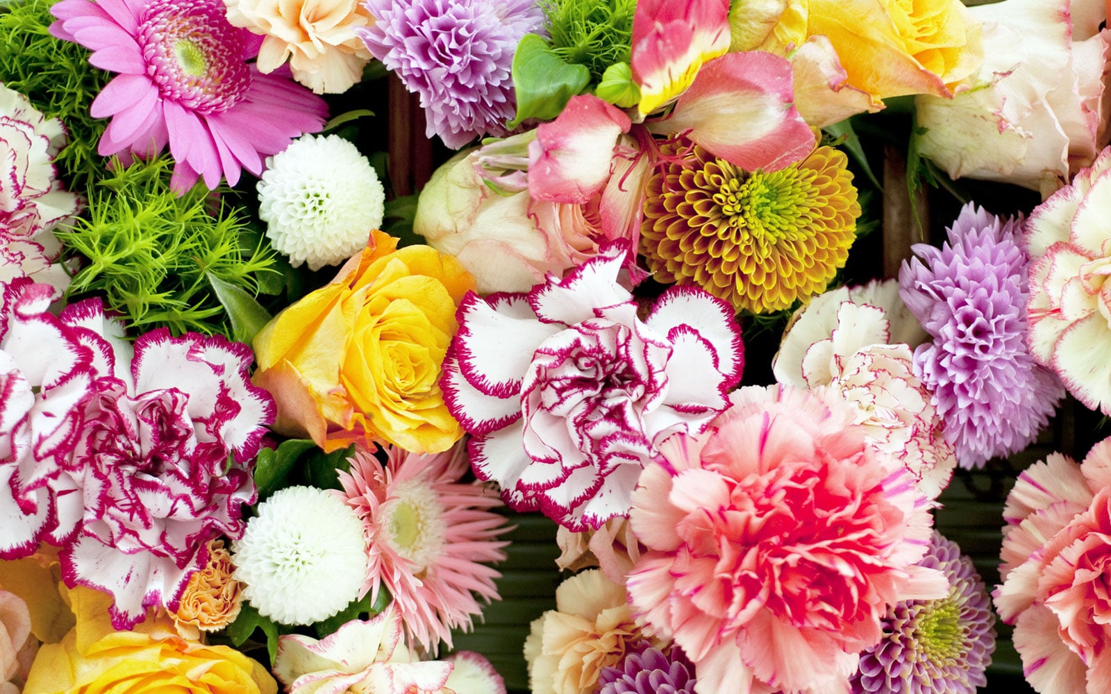 花の定期便で届く新鮮なお花