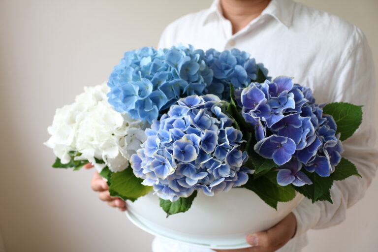 母の日～特別なお花を見つけよう～
