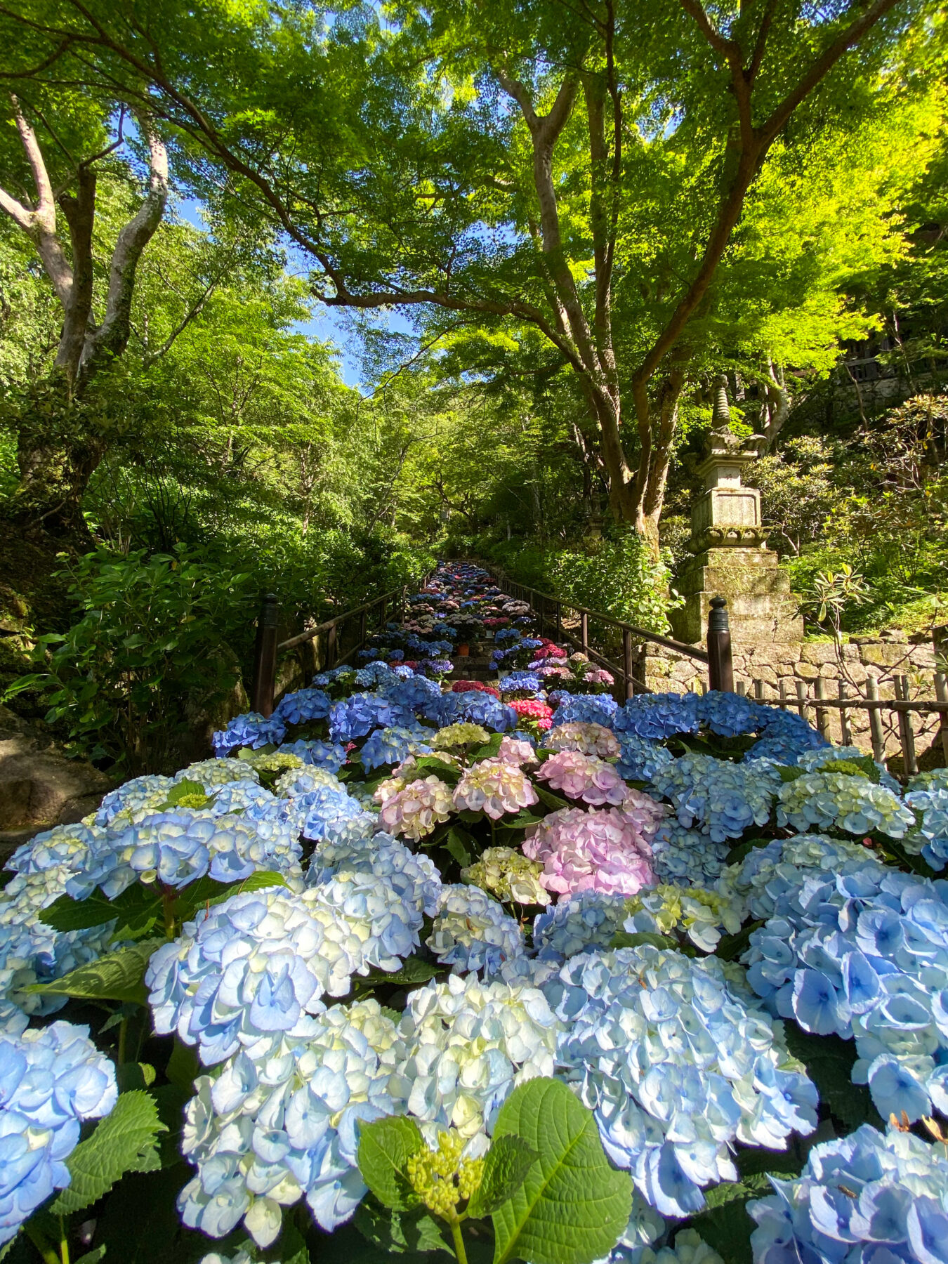 ～５月、花の便りが届くころ～