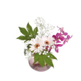 プラスONE 切り花S