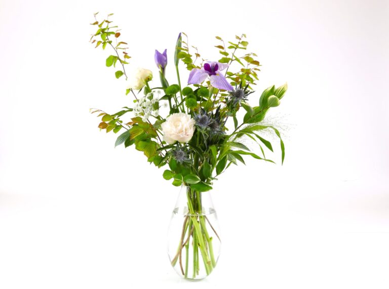 「菖蒲」と「花菖蒲」