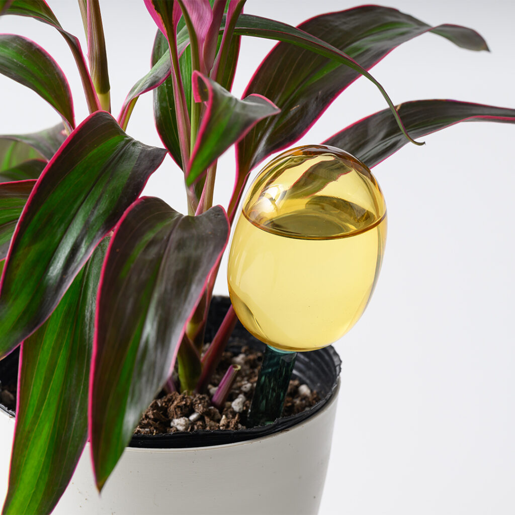 TWO TONE WATER DISPENSER（Ｓ）