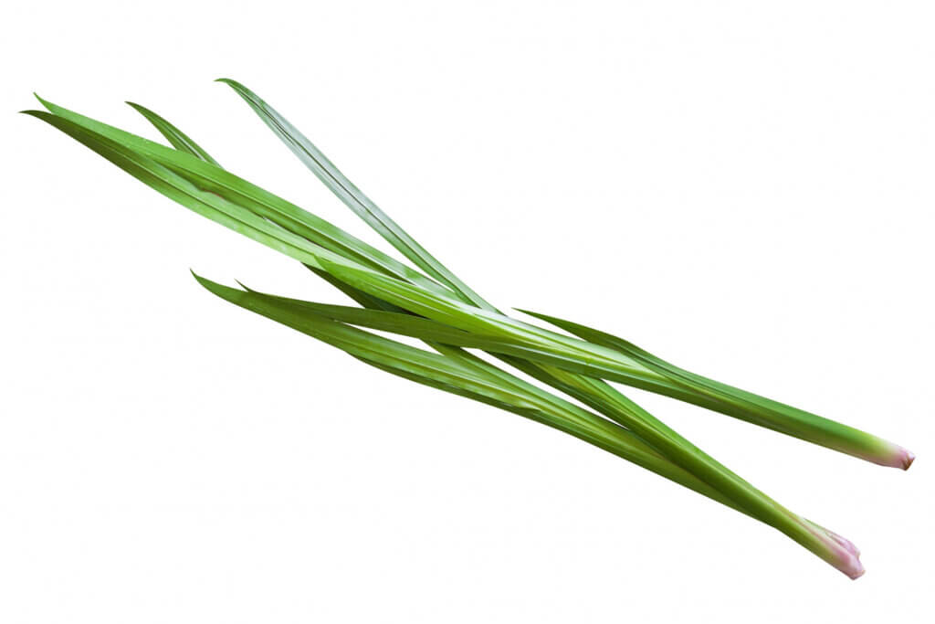 端午の節句「菖蒲」と「花菖蒲」